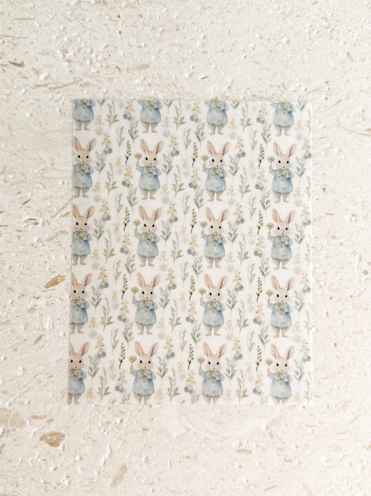 Transfer Paper - 021