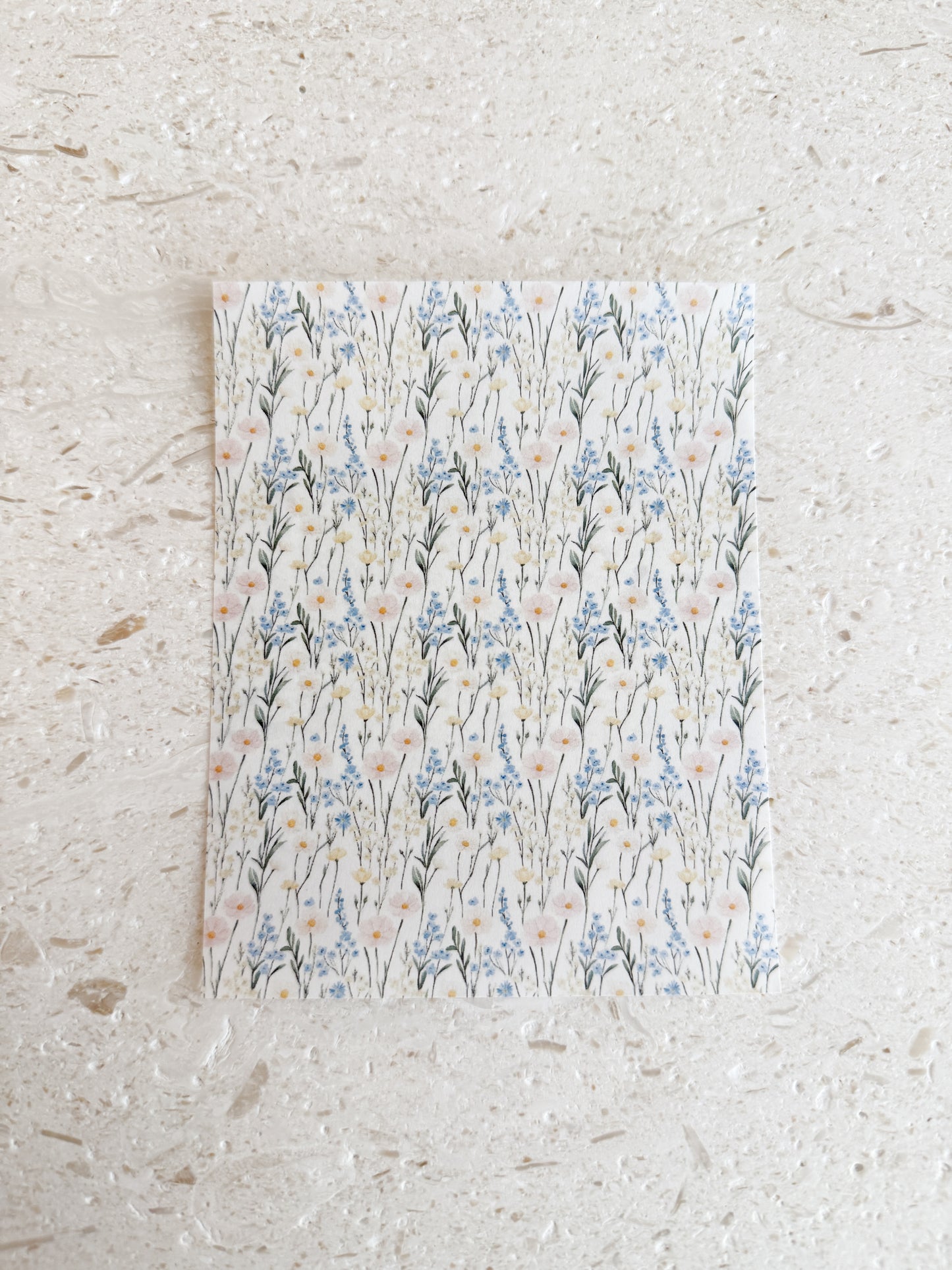 Transfer Paper - 031