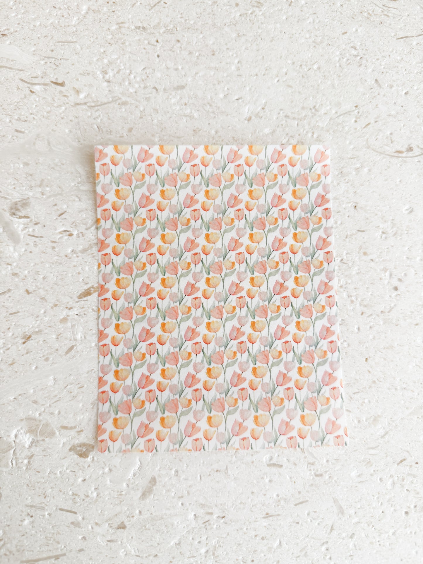 Transfer Paper - 029