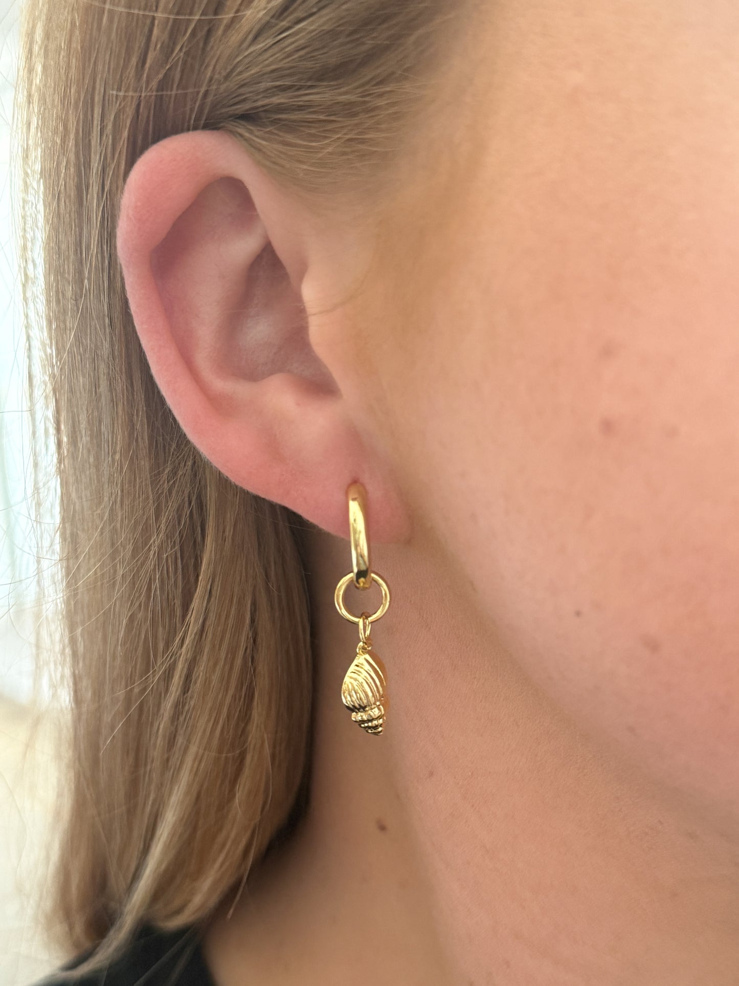 The Conch Element