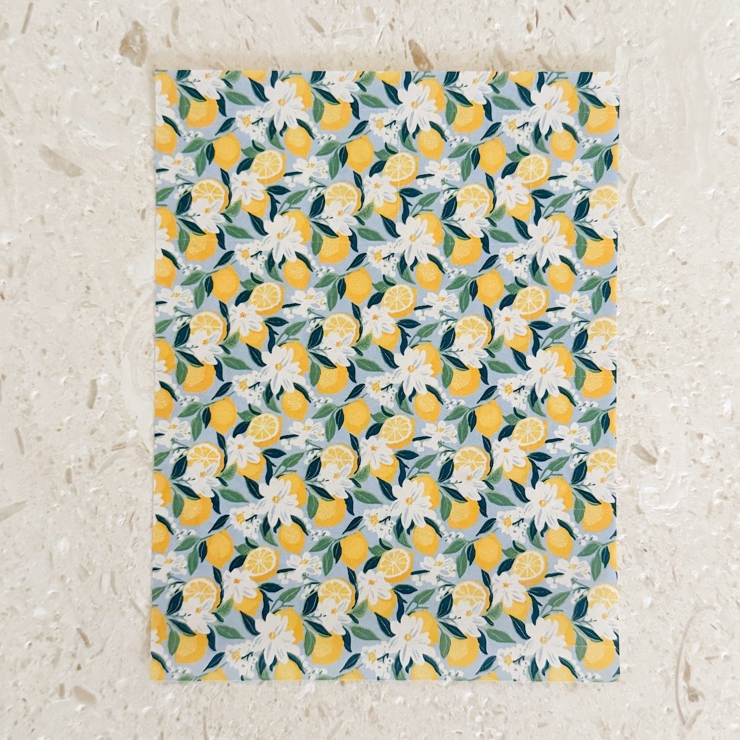 Transfer Paper - 001