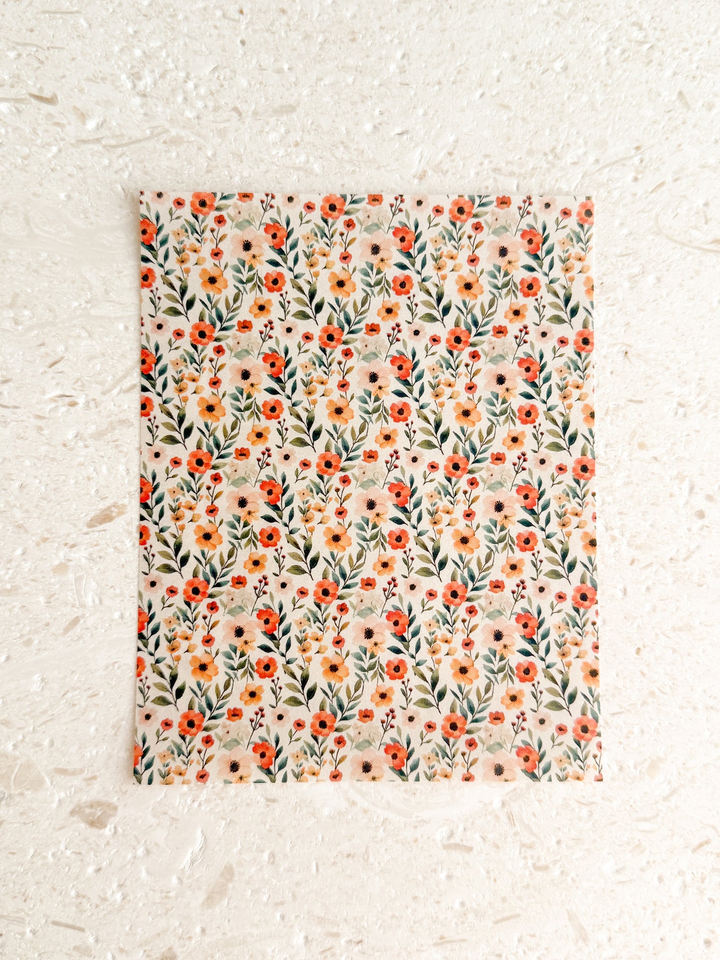 Transfer Paper - 026