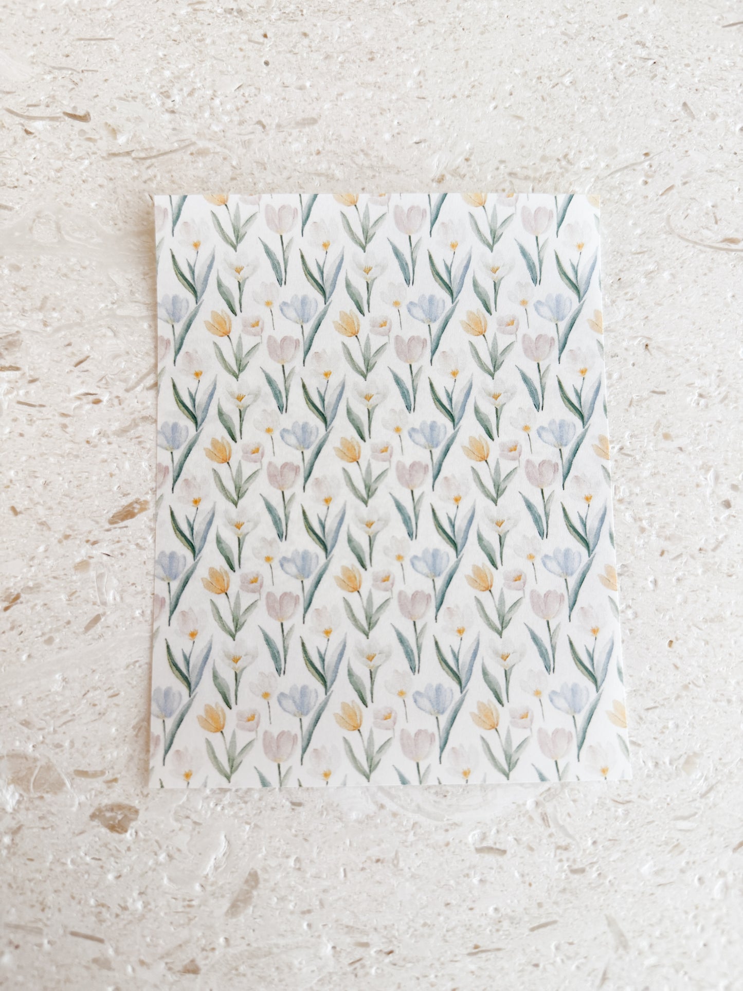 Transfer Paper - 033