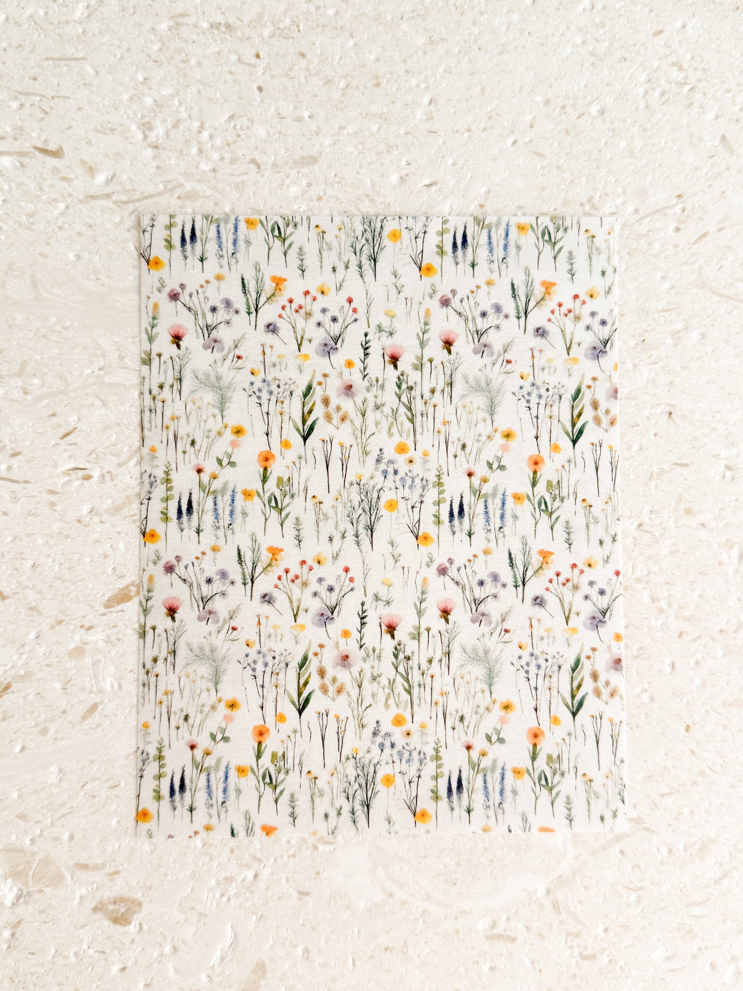 Transfer Paper - 022