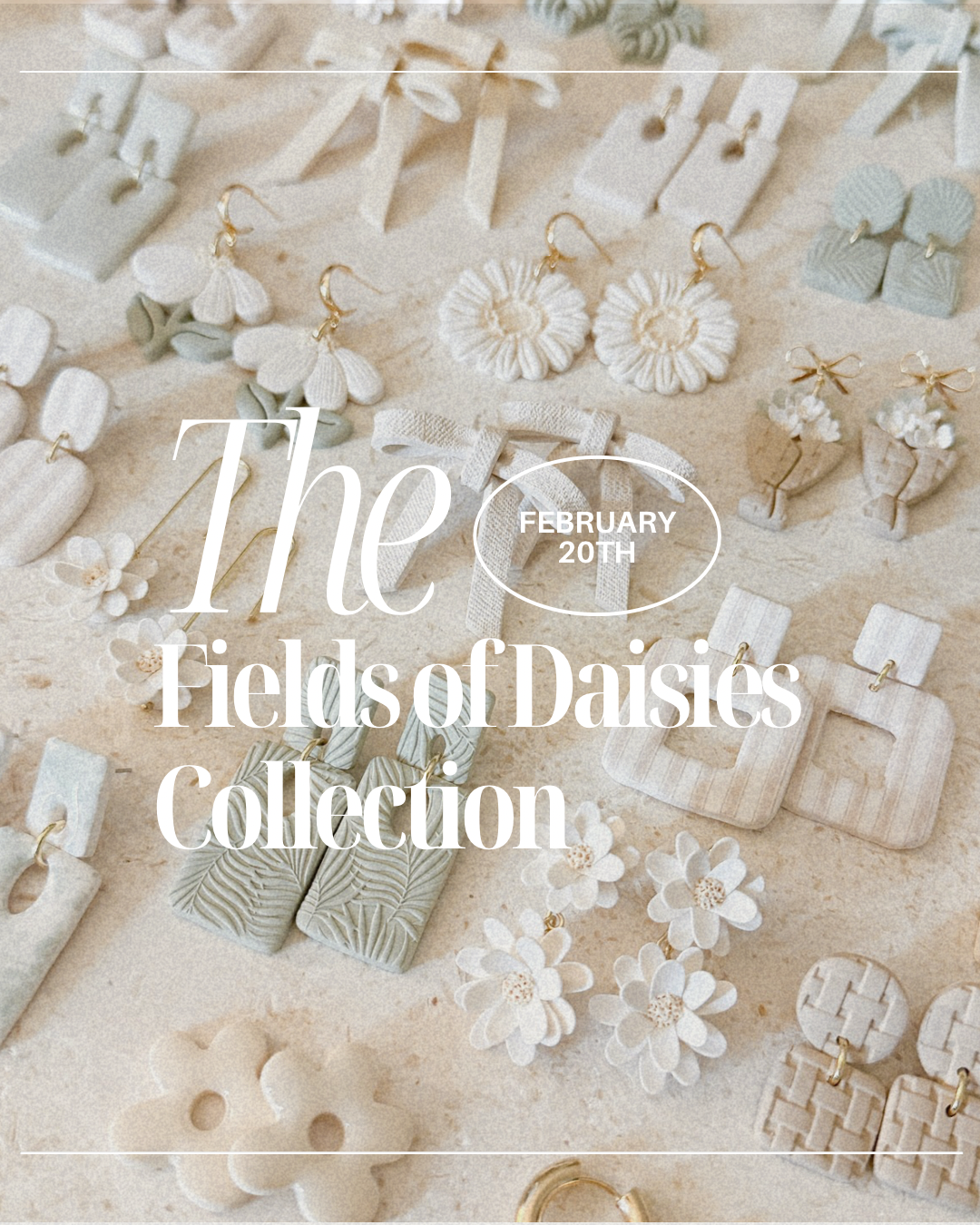 The Fields of Daisies Collection