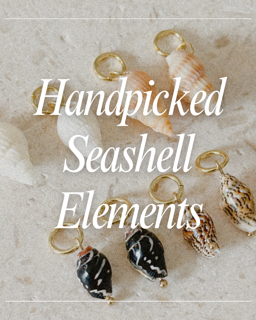 Seashell Elements