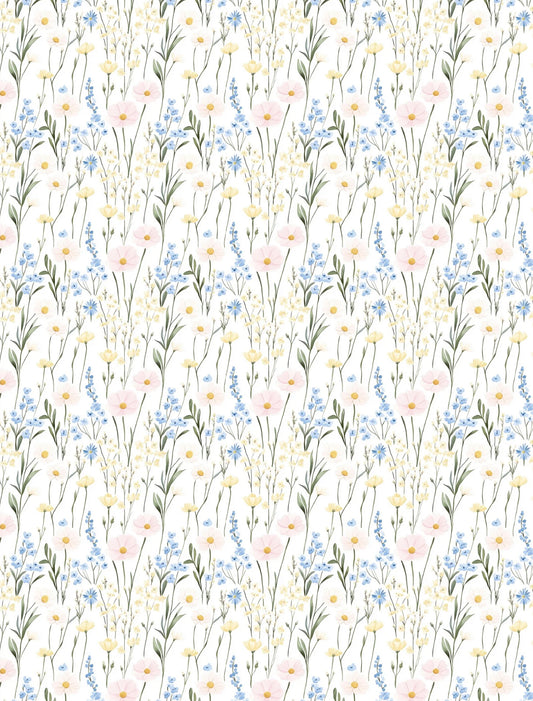 Transfer Paper - 031