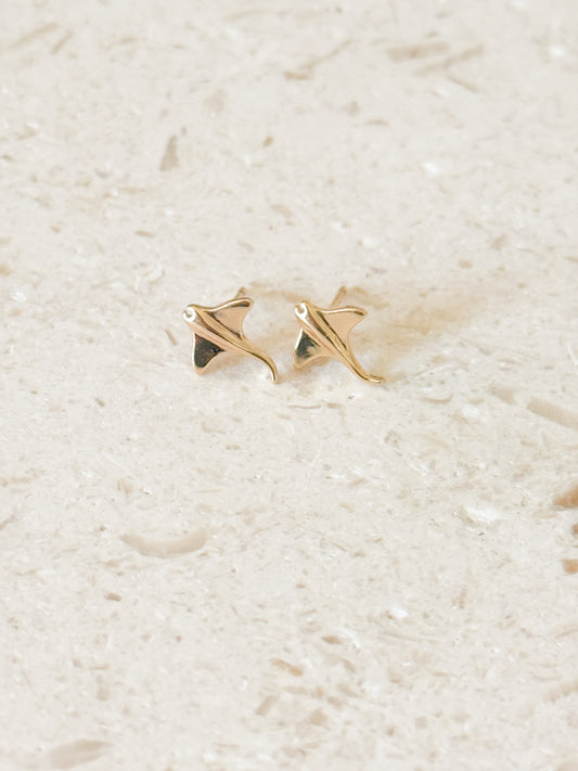 Manta Ray Studs
