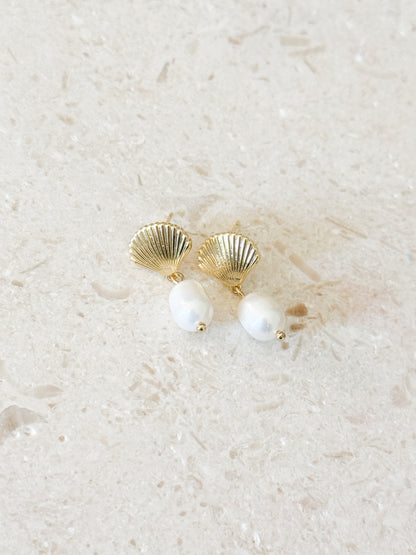 Seashell & Pearl Dangles