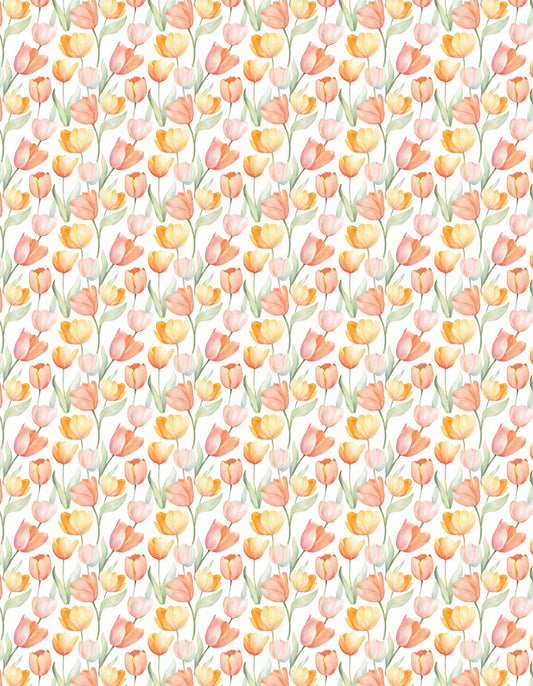 Transfer Paper - 029