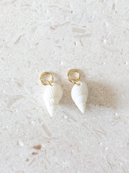 The White Spindle Shell
