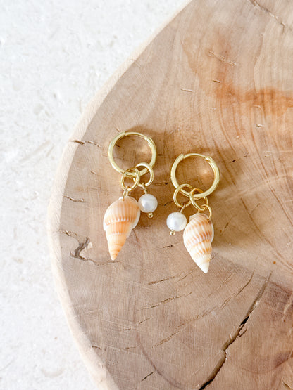 The Peach Spiral Shell
