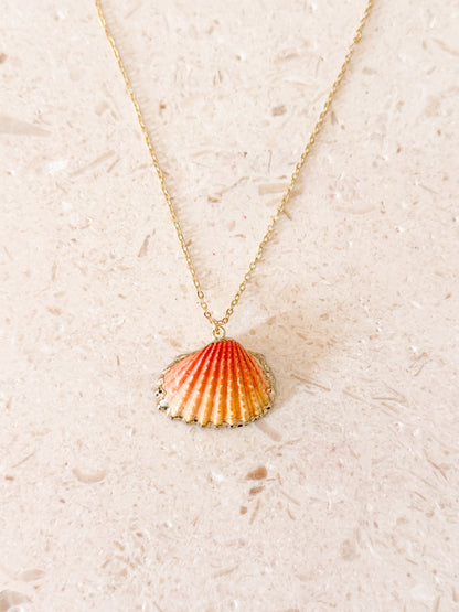 Sunset Shell Necklace