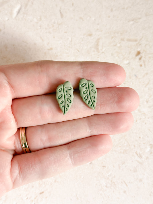 Swiss Monstera Studs