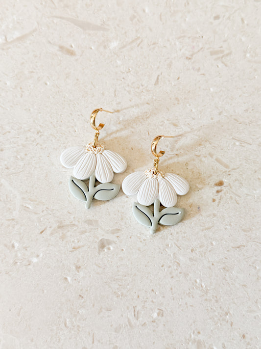 The Blooming Daisies