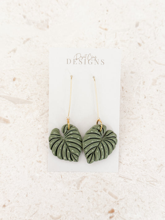 Philodendron Dewed Dangles