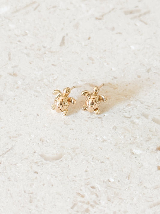 Turtle Studs