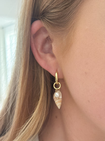 The Peach Spiral Shell