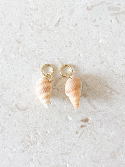 The Peach Spiral Shell