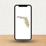 Florida Phone Screensaver Package