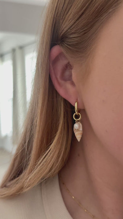 The Peach Spiral Shell